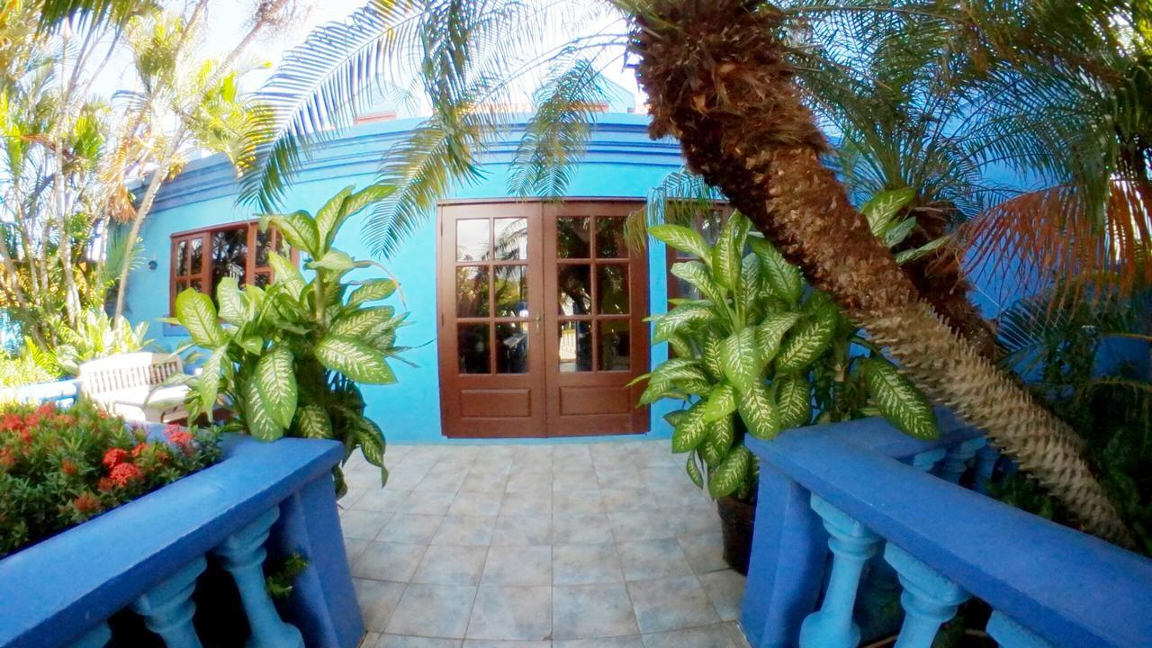 De Cuba Bed & Breakfast 노르트 외부 사진
