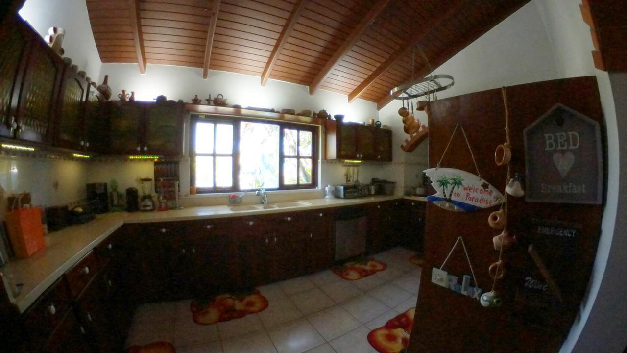 De Cuba Bed & Breakfast 노르트 외부 사진