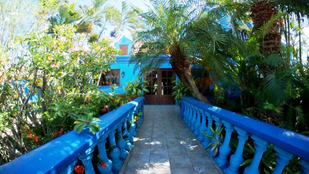 De Cuba Bed & Breakfast 노르트 외부 사진